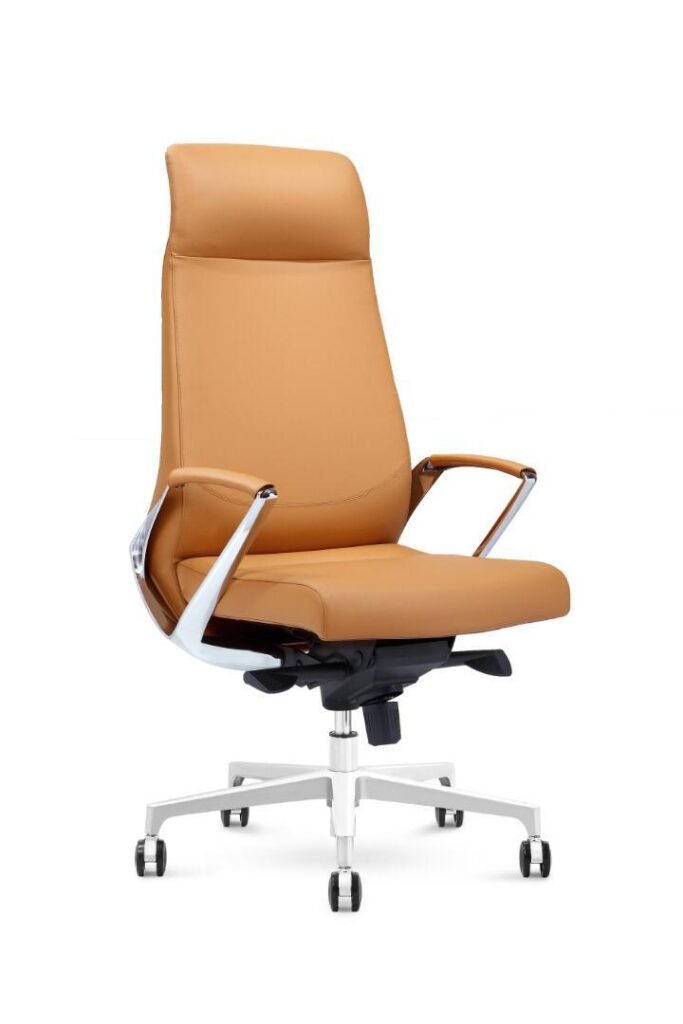 VIRGO SERIES – The Max In Chair System